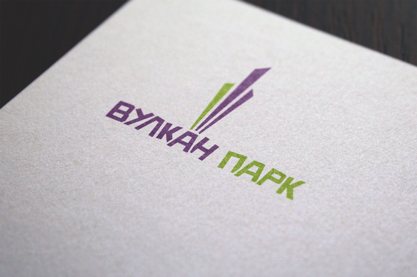 Основной логотип «Вулкан Парк» на бумаге, в цвете